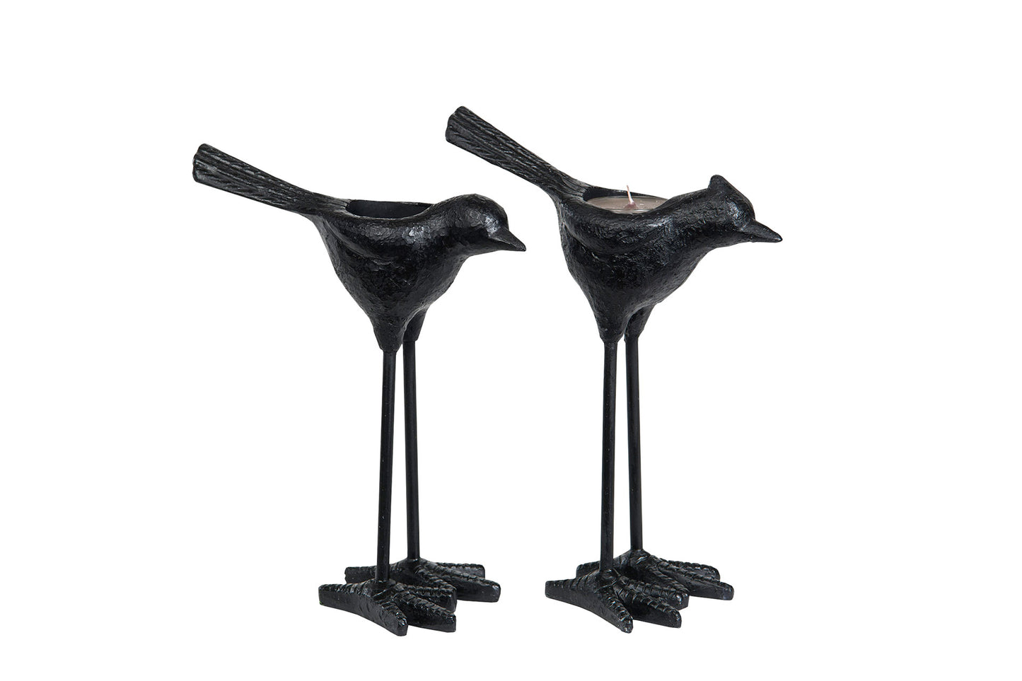 Ljusstake fågel