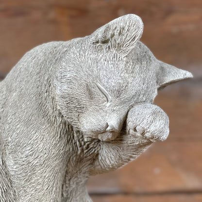 Detaljerad närbild på kattens ansikte och tass på betongfiguren Selma