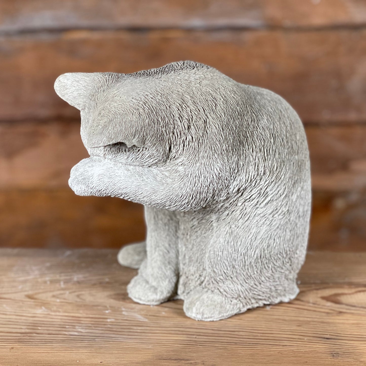 Betongkatt Selma fotograferad från sidan medan hon tvättar sig