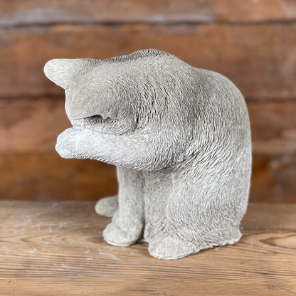 Betongkatt Selma fotograferad från sidan medan hon tvättar sig