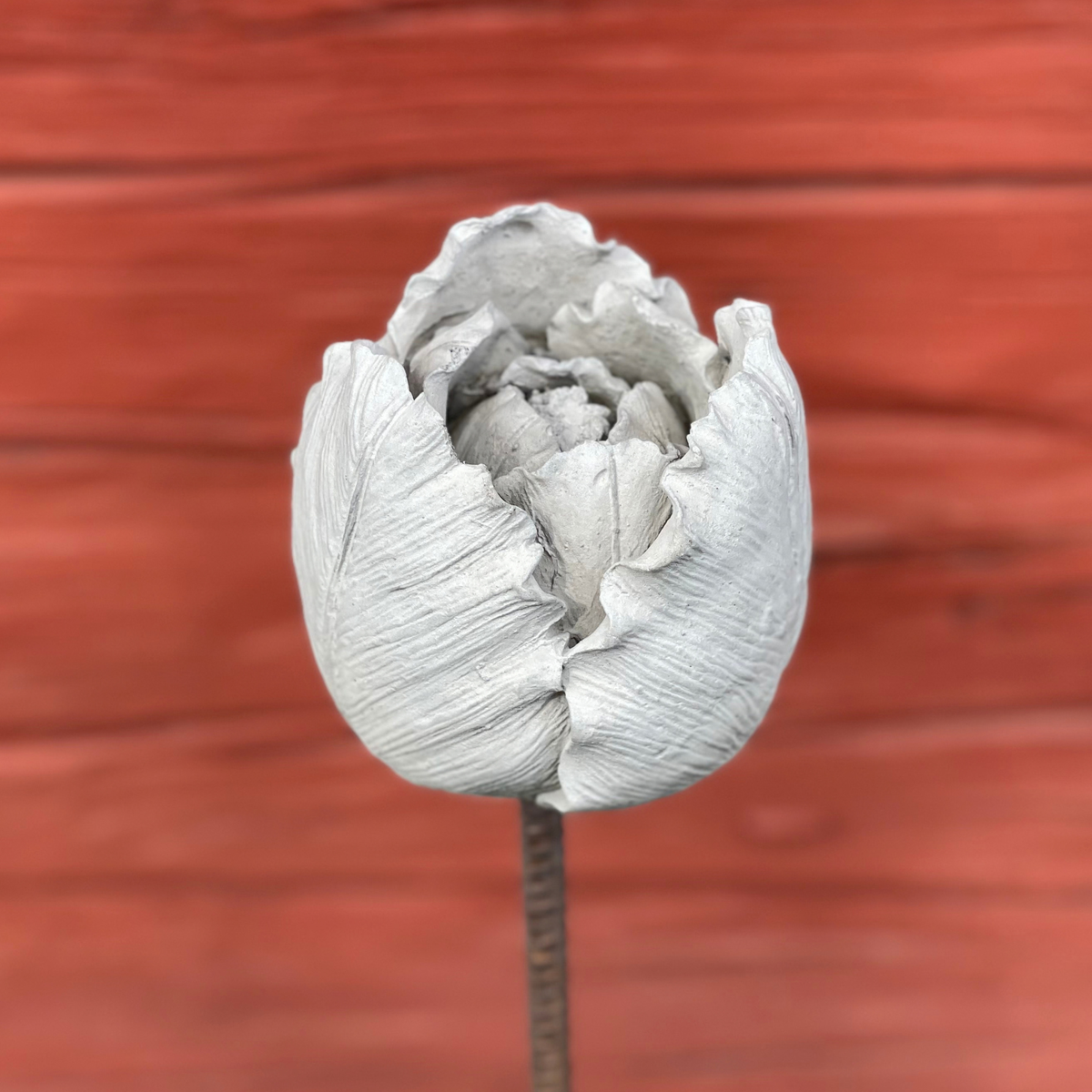 Handgjuten tulpan i betong för trädgård och rabatt